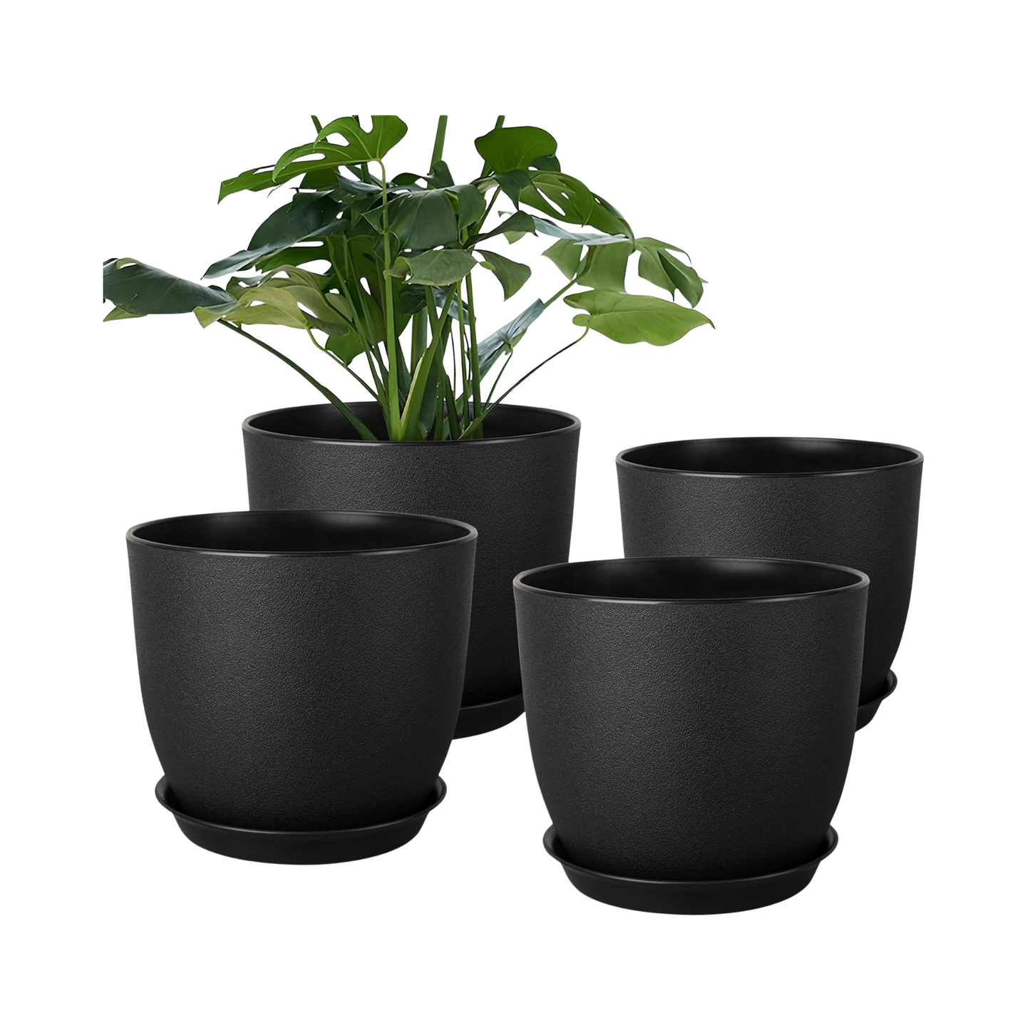 Set of four black plant pots with a green plant on a white background
