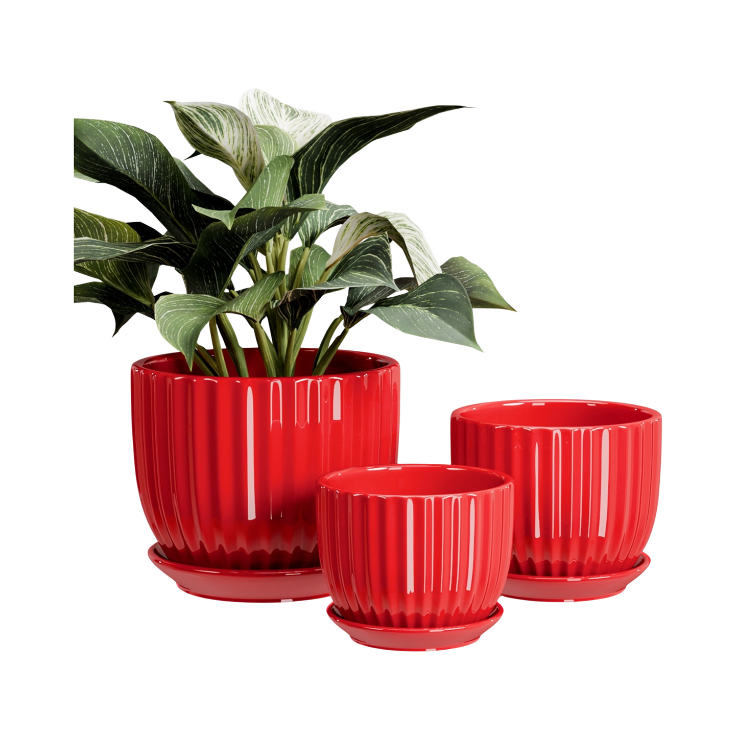Three red ceramic plant pots with a green plant on a white background