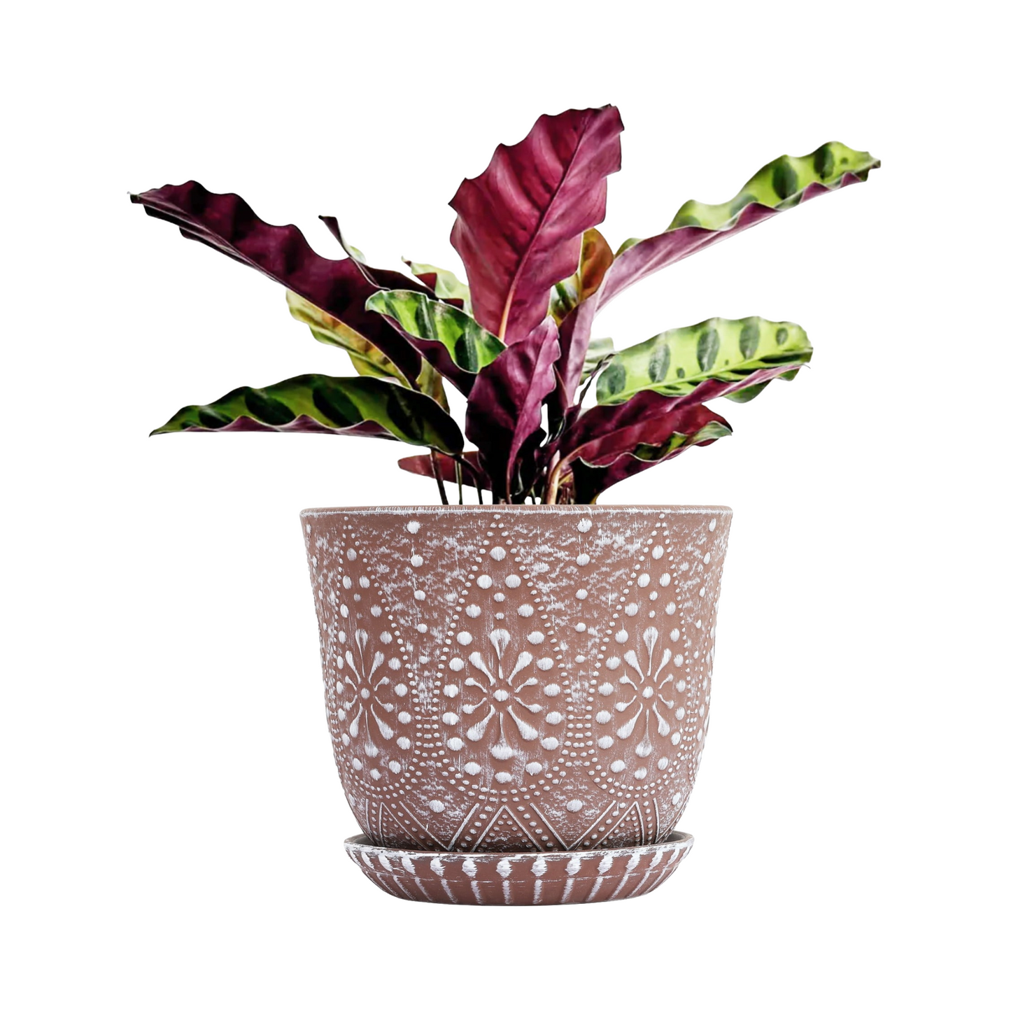 Decorative pot with a plant on a white background