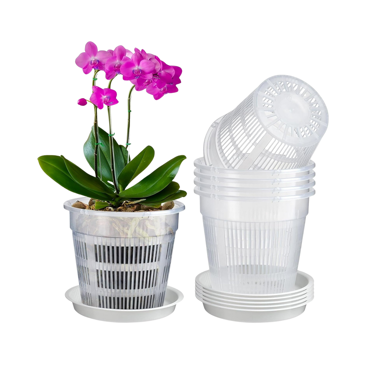 Potted orchid with a stack of white plastic pots on a white background