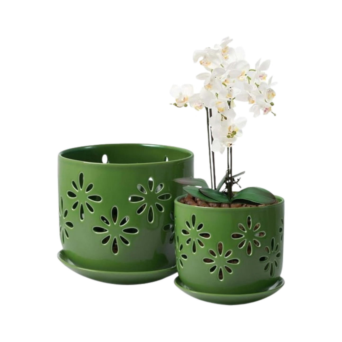 Green perforated plant pots with a white orchid on a white background