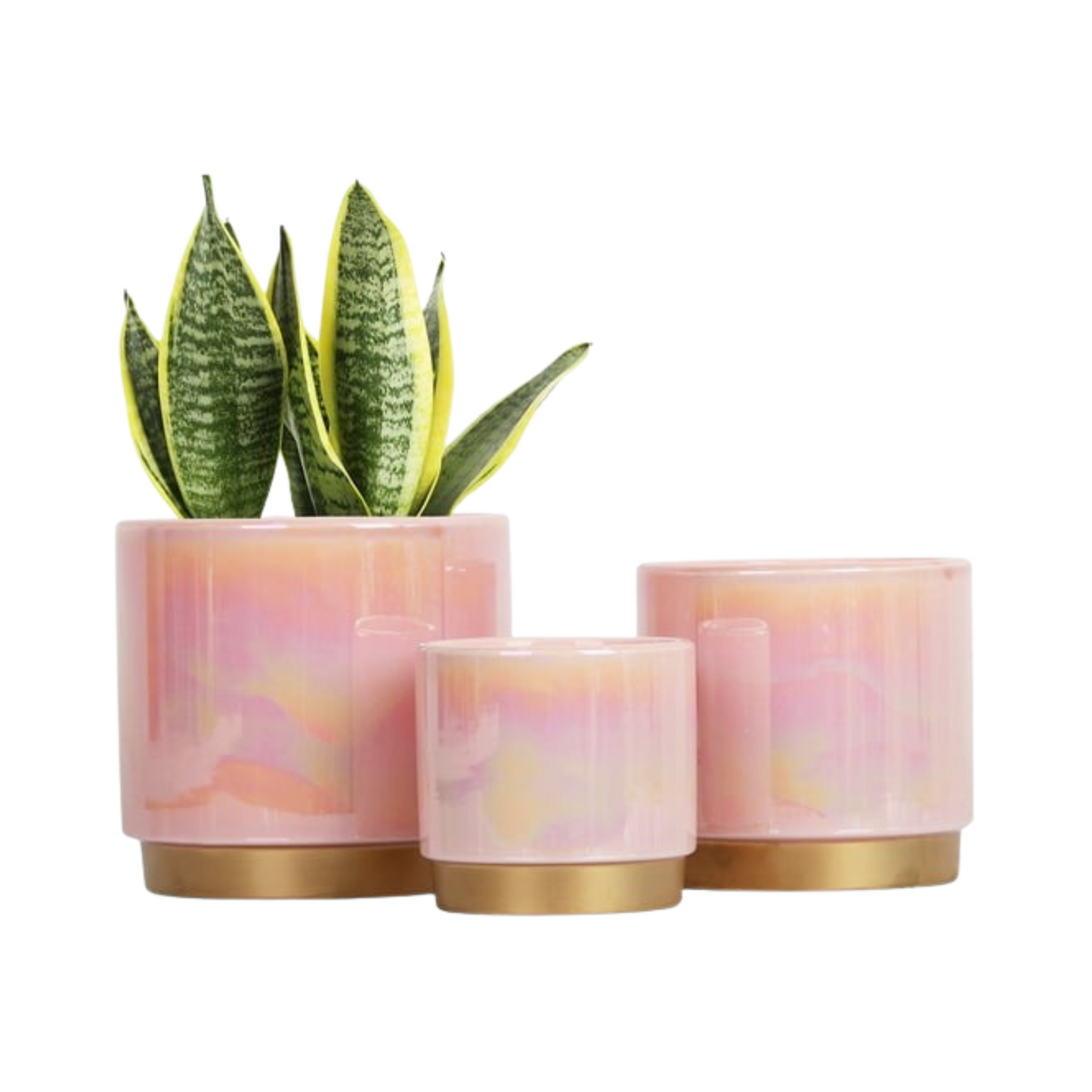 Set of three pink marbled candles with gold bases on a white background