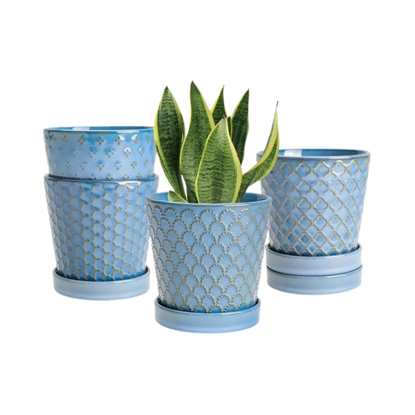 Set of blue patterned planters with a green plant on a white background