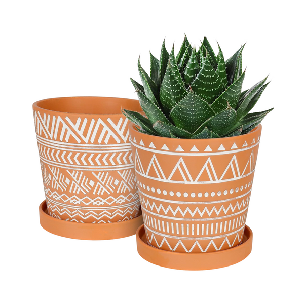Two terracotta pots with geometric patterns and a succulent plant on a white background