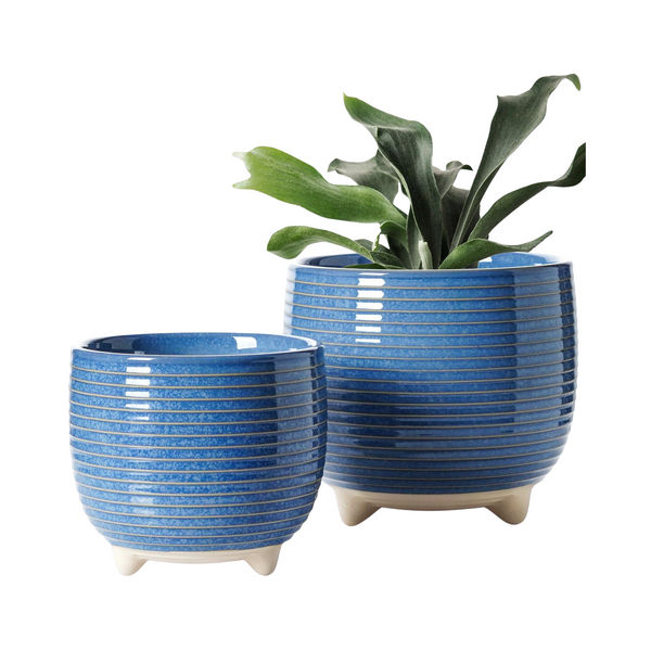 Two blue ceramic planters with a plant on a white background