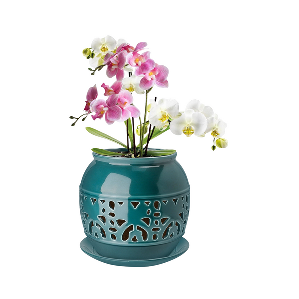 Teal decorative pot with a plant on a white background