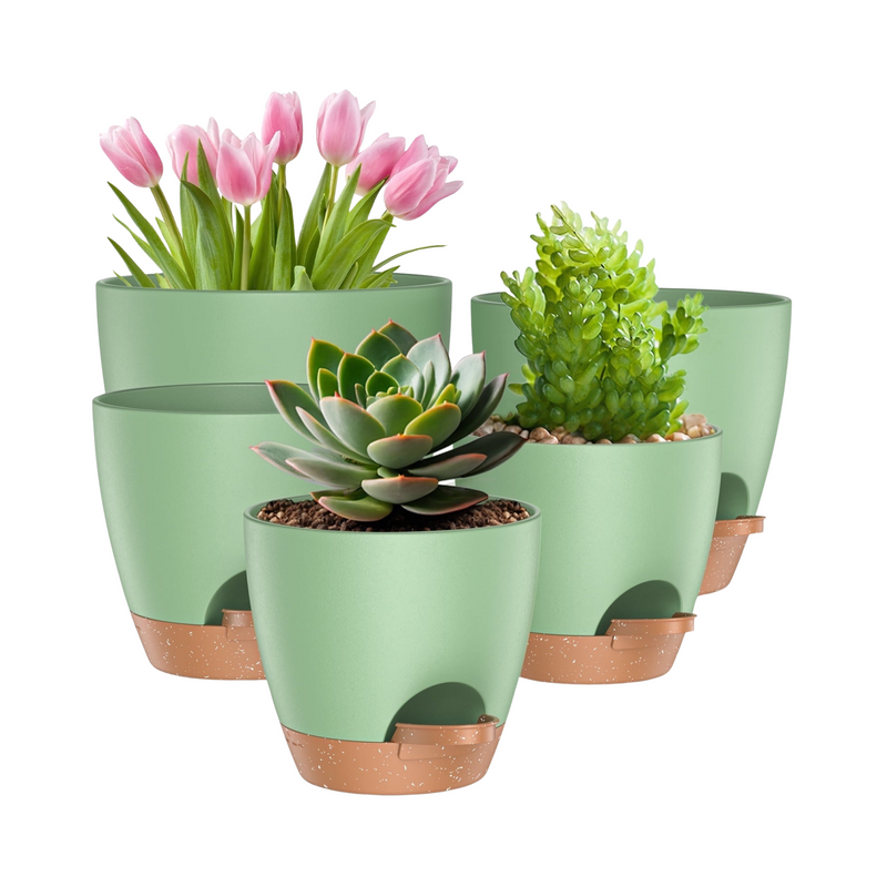 Set of green planters with plants including tulips and succulents on a white background