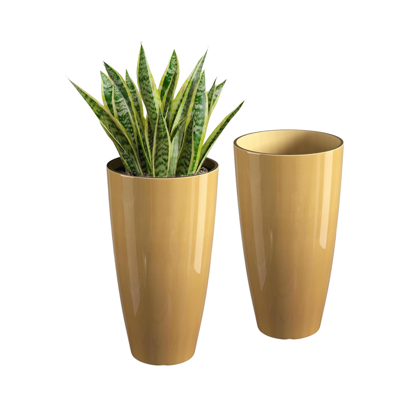 Two gold planters with a green plant on a white background